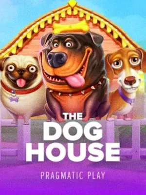 The Dog House at Winshark